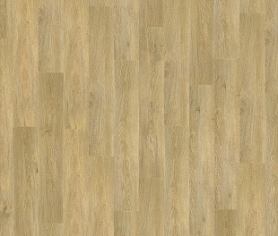 Виниловый пол Tarkett New Age Equilibre в mir-pola.by
