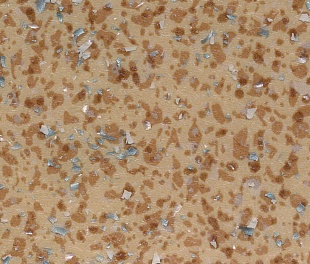 Линолеум Tarkett Acczent Mineral AS 100011 в mir-pola.by