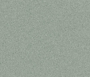 Линолеум Tarkett Primo Plus 311 в mir-pola.by