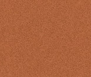 Линолеум Tarkett Primo Plus 305 в mir-pola.by