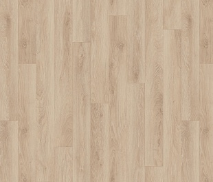 Линолеум Tarkett Drive Scotch 2 в mir-pola.by