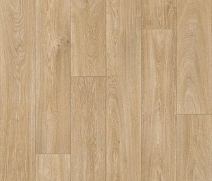 Линолеум Juteks Master Havanna Oak 10 в mir-pola.by
